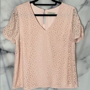 Madicella Lace Dress